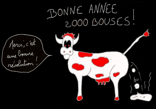 http://francoisville.free.fr/photos/bonne%20annee%202000%20bouses%20500%20350.jpg