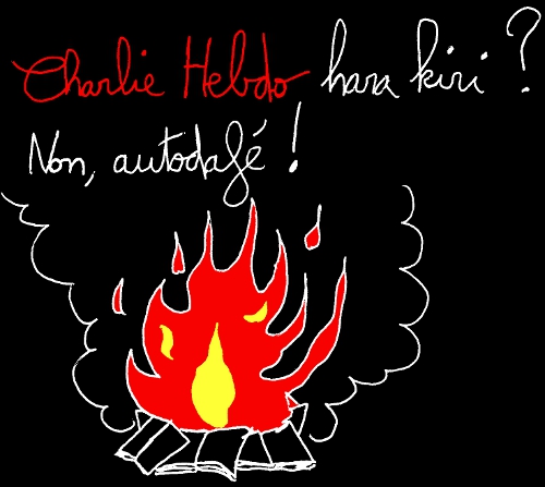 http://francoisville.free.fr/photos/charlie%20hebdo%20hara%20kiri%20autodafe%20500.jpg